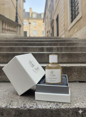 2025/03/1000711568-3.jpg Oud E Ameer 50ml